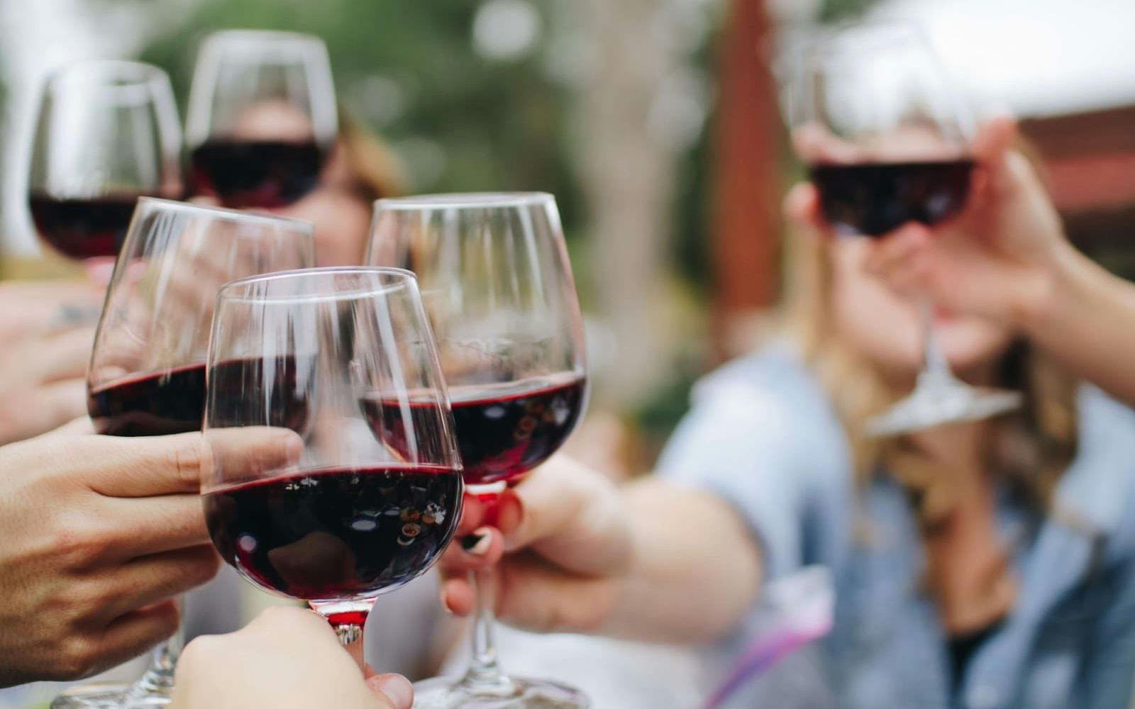 6 Best Wine Vacations in the U.S. for Wine Enthusiasts