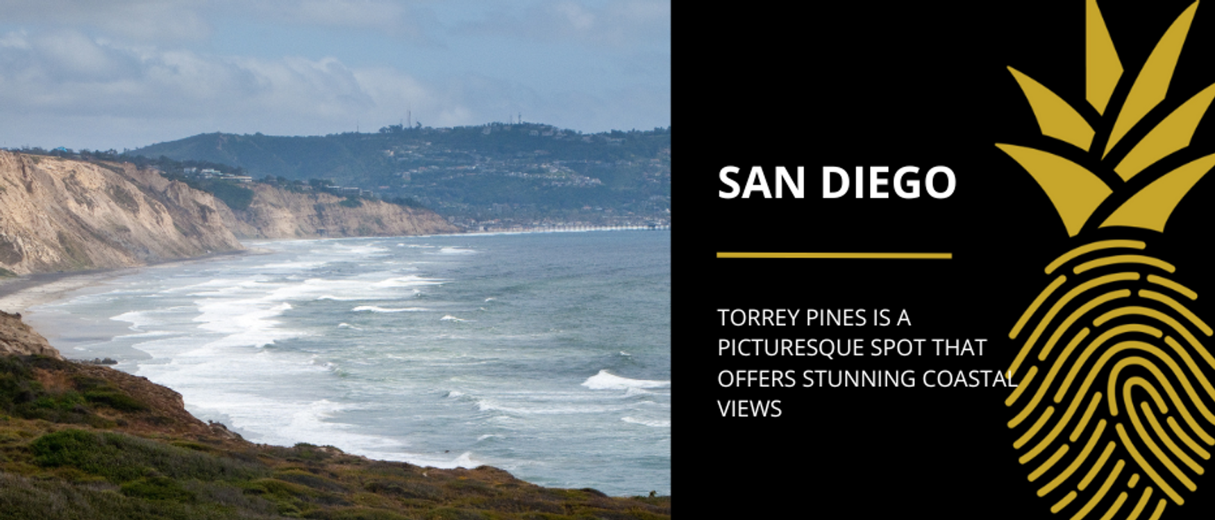 Aerial view of Torrey Pines State Beach in San Diego