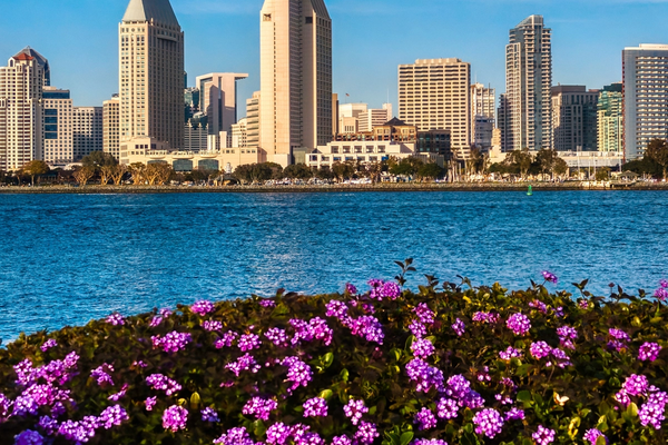 San Diego Scenic Spots in 2023 : The Ultimate Guide