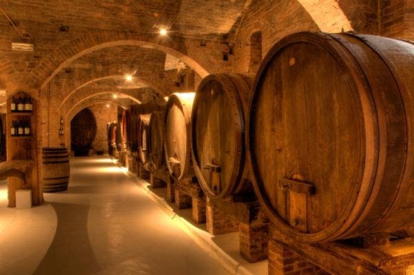 Large wine barrells