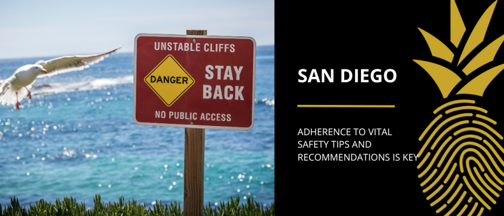 Aerial view of beach safety signs in San Diego