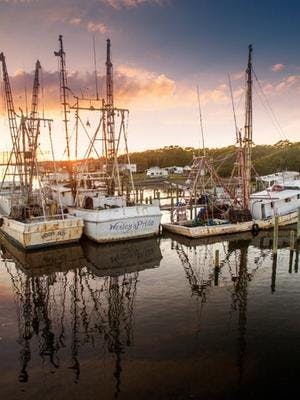 Discover the Carolina Coast: A Vacationer's Escape